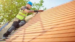 Best Roof Coating and Sealing  in Apalachin, NY