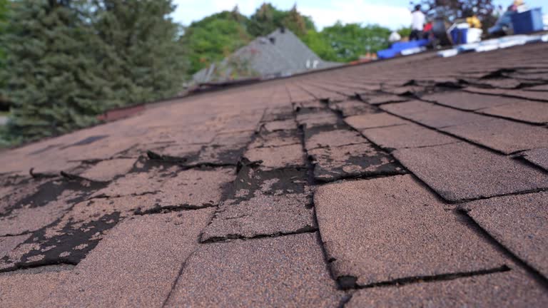 Best Roof Maintenance and Cleaning  in Apalachin, NY