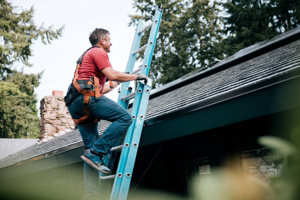 Best Emergency Roof Repair Services  in Apalachin, NY