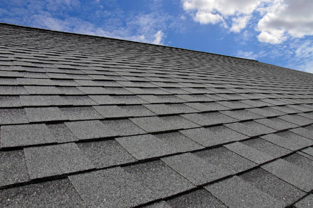 Best Sheet Metal Roofing  in Apalachin, NY